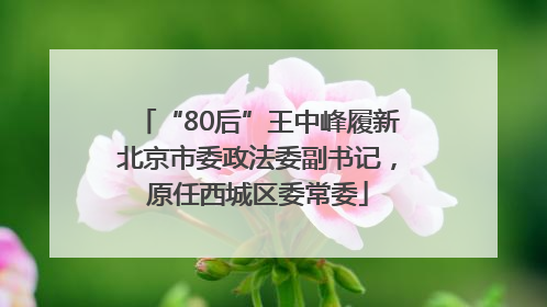 “80后”王中峰履新北京市委政法委副书记，原任西城区委常委