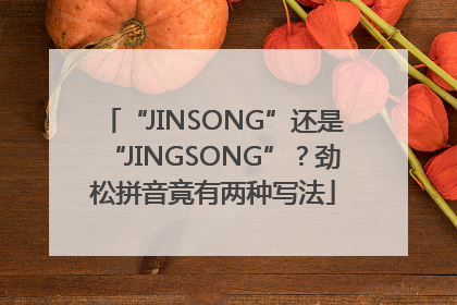 “JINSONG”还是“JINGSONG”？劲松拼音竟有两种写法
