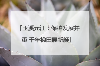 玉溪元江：保护发展并重 千年梯田展新颜