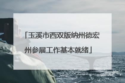 玉溪市西双版纳州德宏州参展工作基本就绪