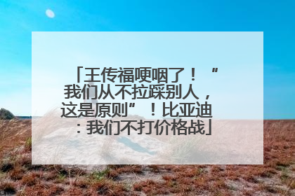 王传福哽咽了！“我们从不拉踩别人，这是原则”！比亚迪：我们不打价格战