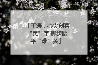 王涛：心尖刻着“民”字 脚步踏平“难”关