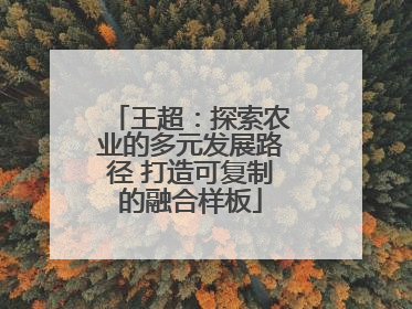 王超：探索农业的多元发展路径 打造可复制的融合样板