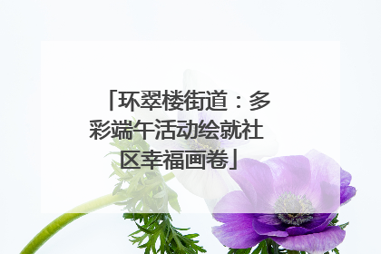 环翠楼街道：多彩端午活动绘就社区幸福画卷
