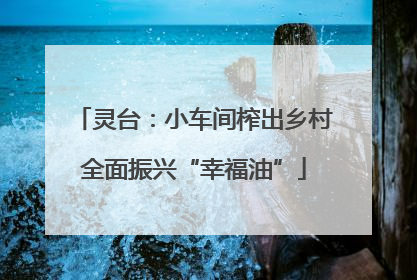 灵台：小车间榨出乡村全面振兴“幸福油”