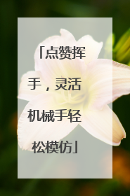 点赞挥手，灵活机械手轻松模仿