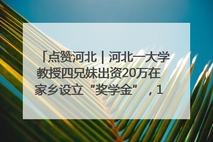 点赞河北｜河北一大学教授四兄妹出资20万在家乡设立“奖学金”，13年为320名农村学生种下“希望的种子”