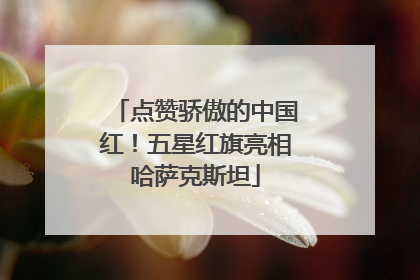 点赞骄傲的中国红！五星红旗亮相哈萨克斯坦