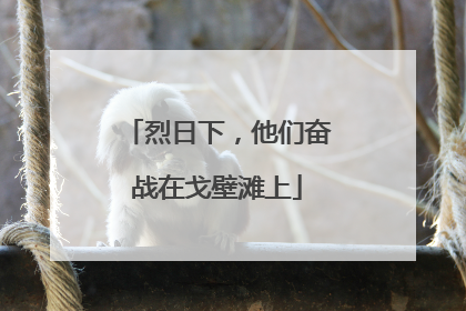 烈日下，他们奋战在戈壁滩上