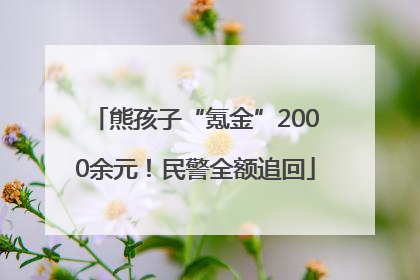 熊孩子“氪金”2000余元！民警全额追回
