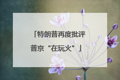 特朗普再度批评普京“在玩火”