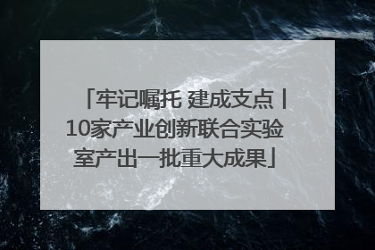 牢记嘱托 建成支点丨10家产业创新联合实验室产出一批重大成果