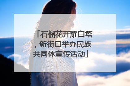 石榴花开耀白塔，新街口举办民族共同体宣传活动