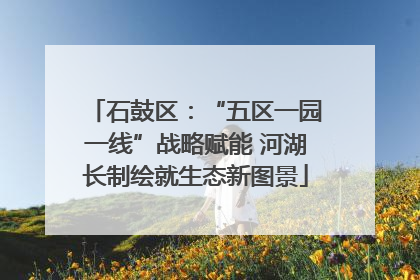 石鼓区：“五区一园一线”战略赋能 河湖长制绘就生态新图景