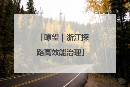 瞭望｜浙江探路高效能治理