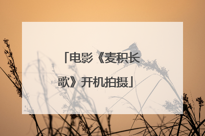 电影《麦积长歌》开机拍摄