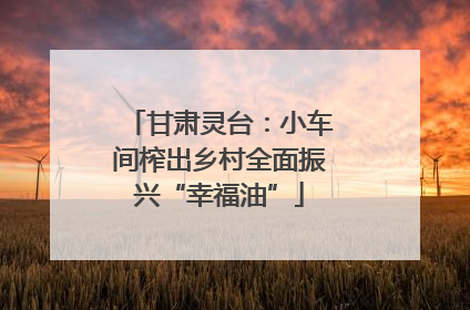 甘肃灵台：小车间榨出乡村全面振兴“幸福油”