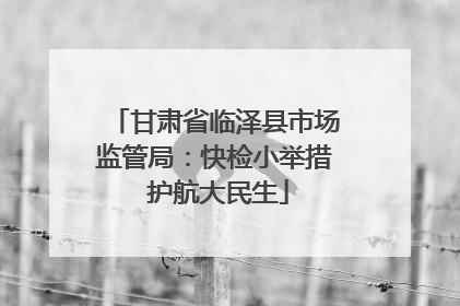 甘肃省临泽县市场监管局：快检小举措 护航大民生