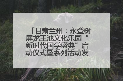 甘肃兰州：永登树屏龙王池文化乐园“新时代国学盛典”启动仪式暨系列活动发布会成功举办