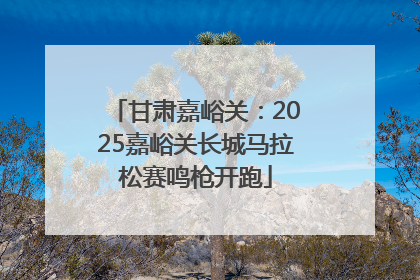 甘肃嘉峪关：2025嘉峪关长城马拉松赛鸣枪开跑