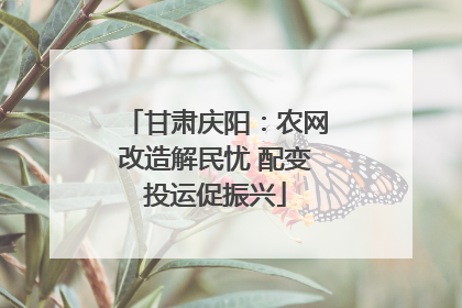 甘肃庆阳：农网改造解民忧 配变投运促振兴