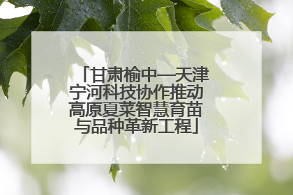 甘肃榆中—天津宁河科技协作推动高原夏菜智慧育苗与品种革新工程