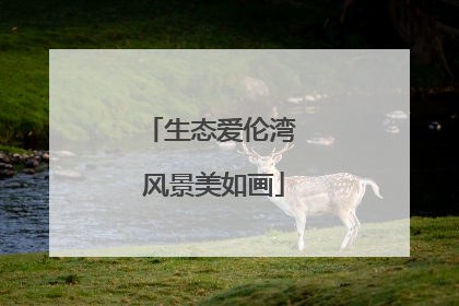 生态爱伦湾 风景美如画