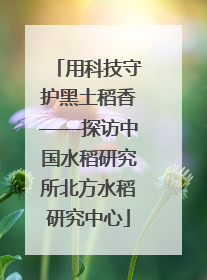 用科技守护黑土稻香——探访中国水稻研究所北方水稻研究中心