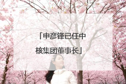 申彦锋已任中核集团董事长