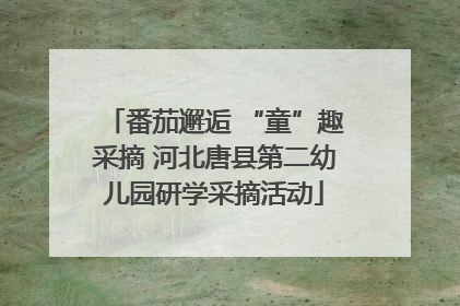 番茄邂逅 “童”趣采摘 河北唐县第二幼儿园研学采摘活动