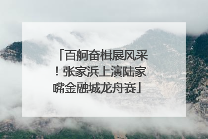 百舸奋楫展风采！张家浜上演陆家嘴金融城龙舟赛