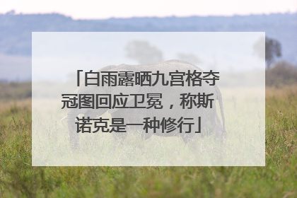 白雨露晒九宫格夺冠图回应卫冕，称斯诺克是一种修行
