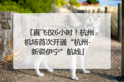 直飞仅6小时！杭州机场首次开通“杭州-新疆伊宁”航线
