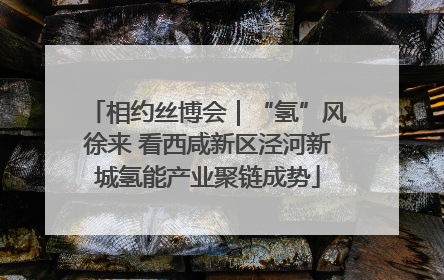 相约丝博会｜“氢”风徐来 看西咸新区泾河新城氢能产业聚链成势