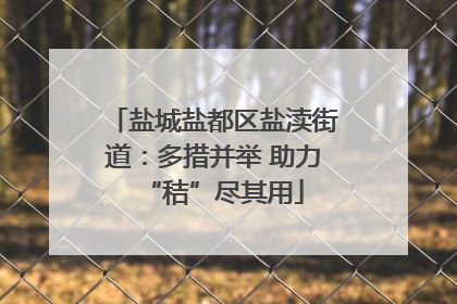 盐城盐都区盐渎街道：多措并举 助力“秸”尽其用