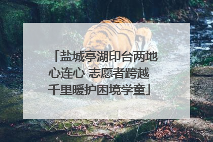 盐城亭湖印台两地心连心 志愿者跨越千里暖护困境学童