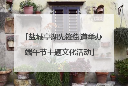 盐城亭湖先锋街道举办端午节主题文化活动