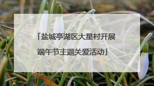 盐城亭湖区大星村开展端午节主题关爱活动