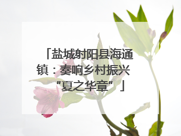 盐城射阳县海通镇：奏响乡村振兴“夏之华章”