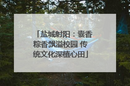 盐城射阳：囊香粽香飘溢校园 传统文化深植心田