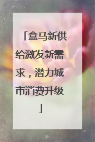 盒马新供给激发新需求，潜力城市消费升级