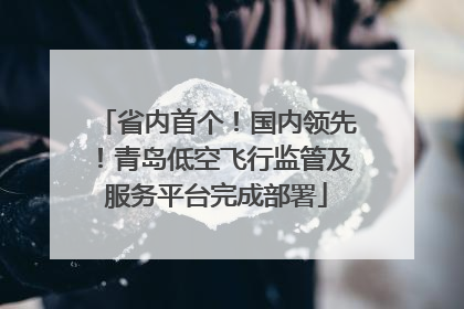 省内首个！国内领先！青岛低空飞行监管及服务平台完成部署