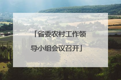 省委农村工作领导小组会议召开