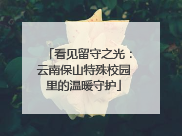 看见留守之光：云南保山特殊校园里的温暖守护