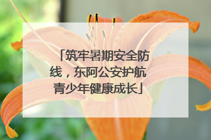 筑牢暑期安全防线，东阿公安护航青少年健康成长
