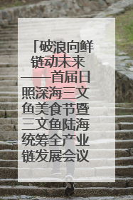 破浪向鲜 链动未来——首届日照深海三文鱼美食节暨三文鱼陆海统筹全产业链发展会议嘉宾访谈