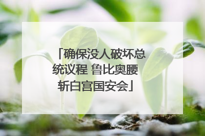 确保没人破坏总统议程 鲁比奥腰斩白宫国安会