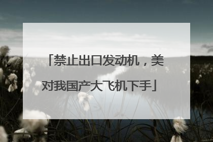 禁止出口发动机，美对我国产大飞机下手