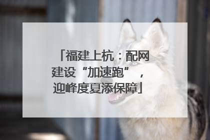 福建上杭：配网建设“加速跑”，迎峰度夏添保障