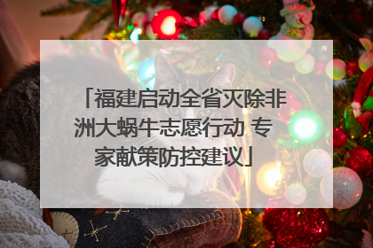 福建启动全省灭除非洲大蜗牛志愿行动 专家献策防控建议